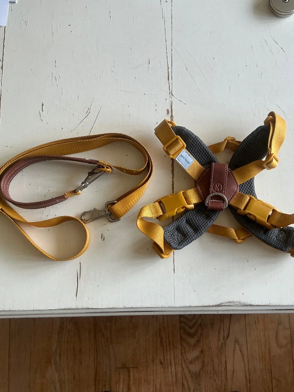 SPUTNIK Mustard Yellow harness & matching leash Medium 17-39lbs